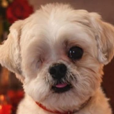 Jacko — thumbnail 2