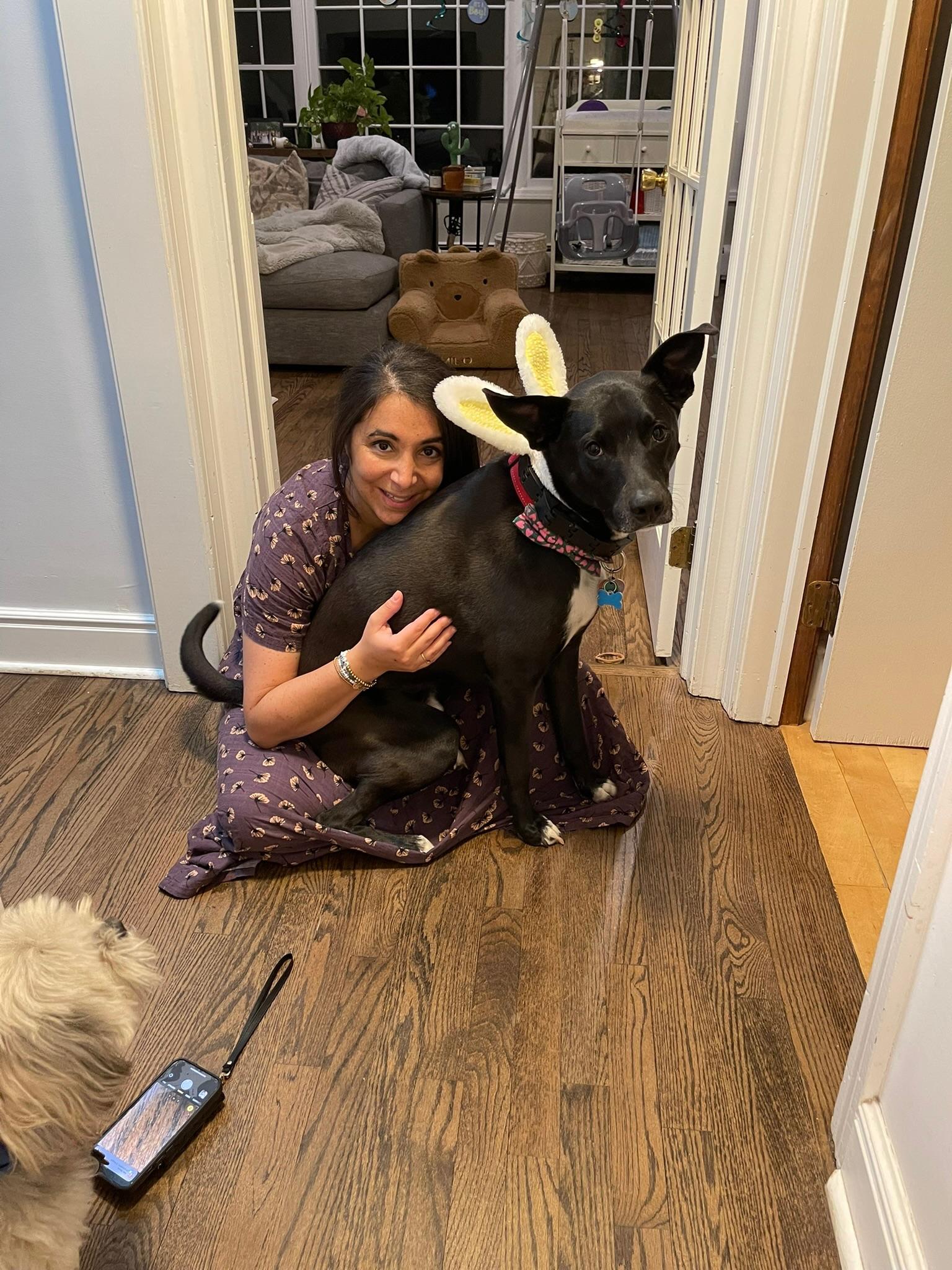 Enlarge Mallomar, a ADOPTABLE mixed breed in Sagaponack, NY image 6/6