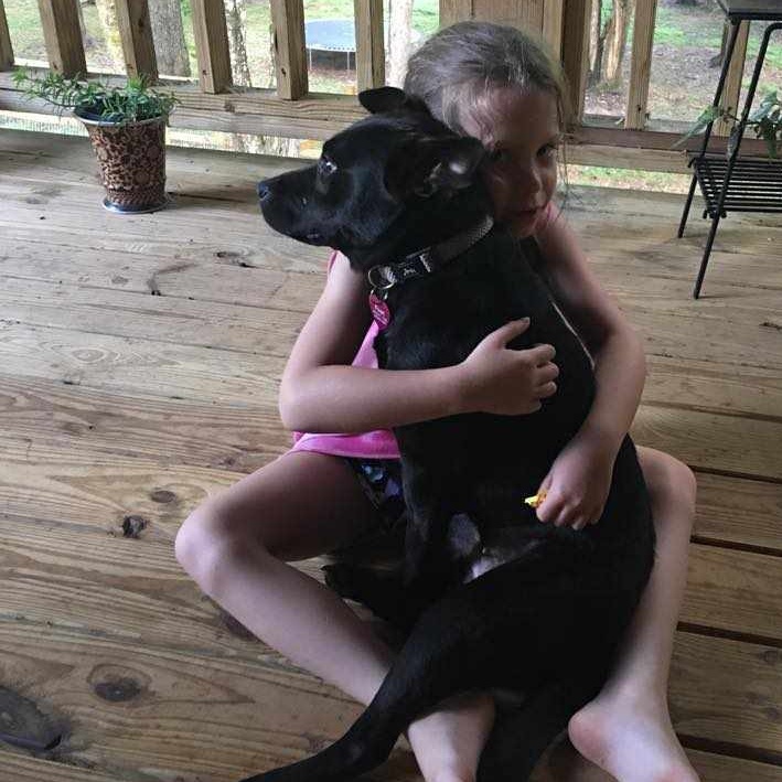 Enlarge Pearl, a Adoptable mixed breed in Marietta, GA image 3/5