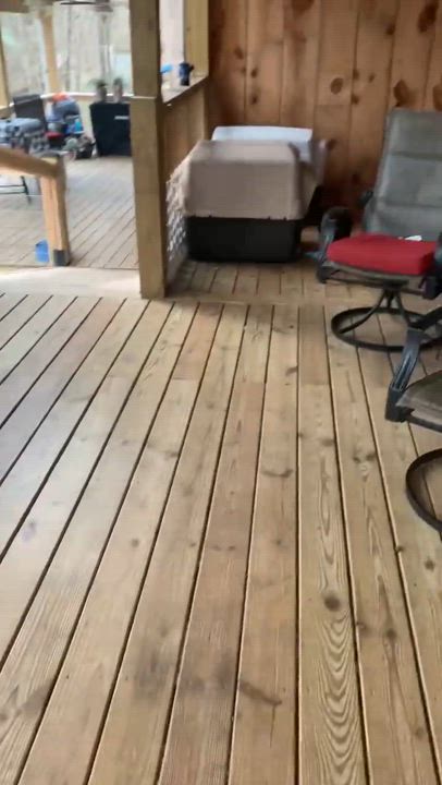 Enlarge Pearl, a Adoptable mixed breed in Marietta, GA video 4/5