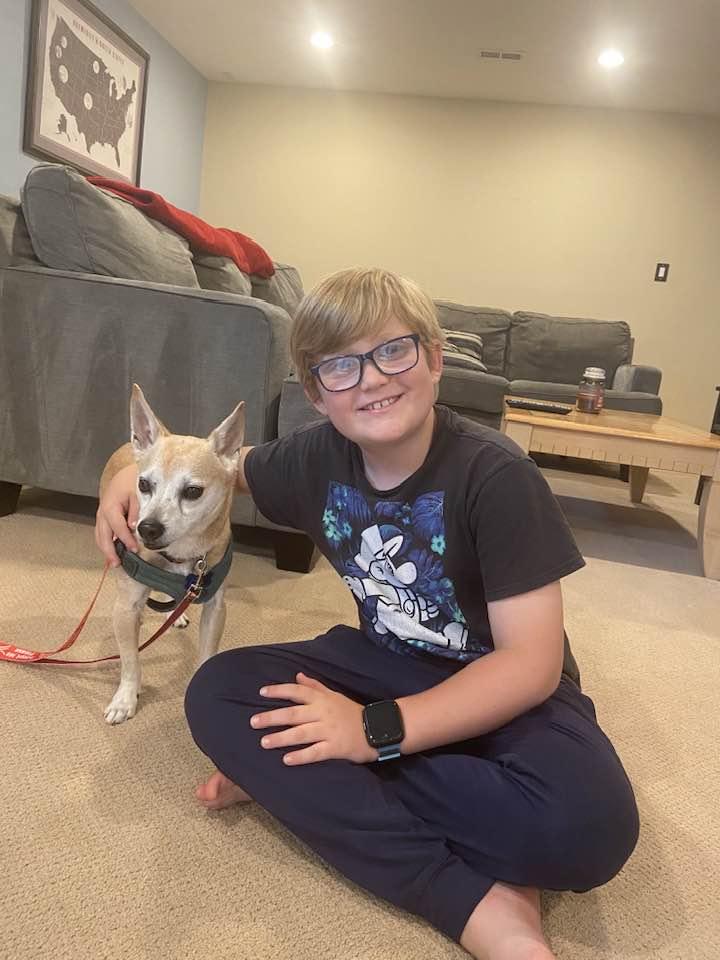 Ramsey, a Adopted mixed breed in Clifton, VA image 2/3