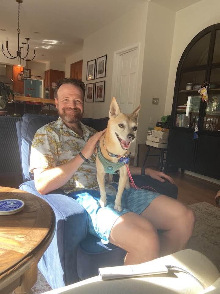 Ramsey, a Adopted mixed breed in Clifton, VA image 3/3