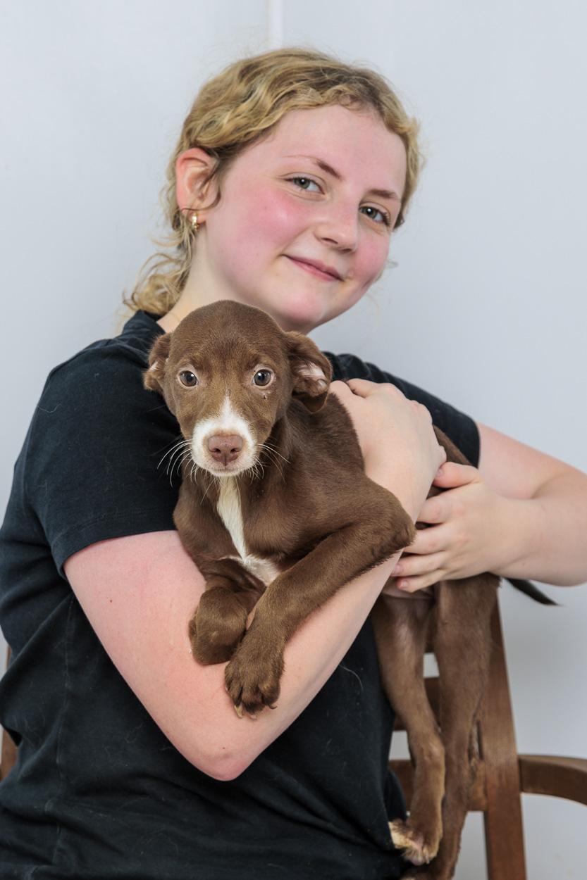 Fruit Loop, Cheerio, Chex, Crispy, an adopted mixed breed in Chester Springs, PA image 2/2