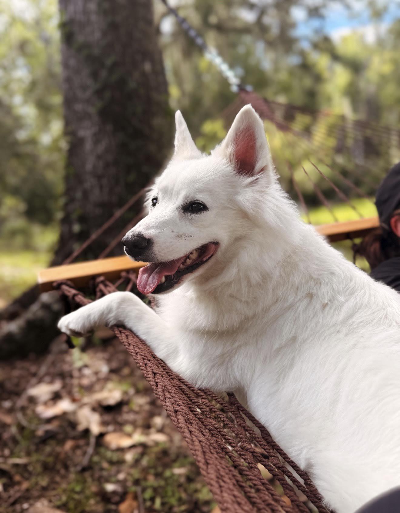 Princess Of Lake City thumbnail 2