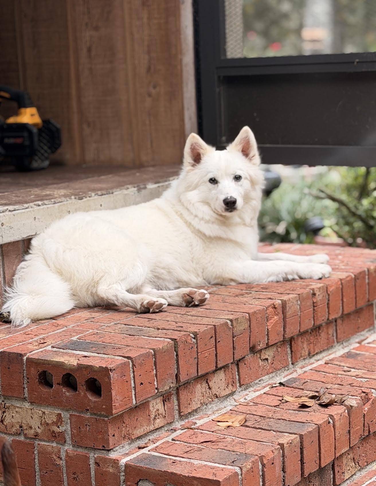 Princess Of Lake City thumbnail 3