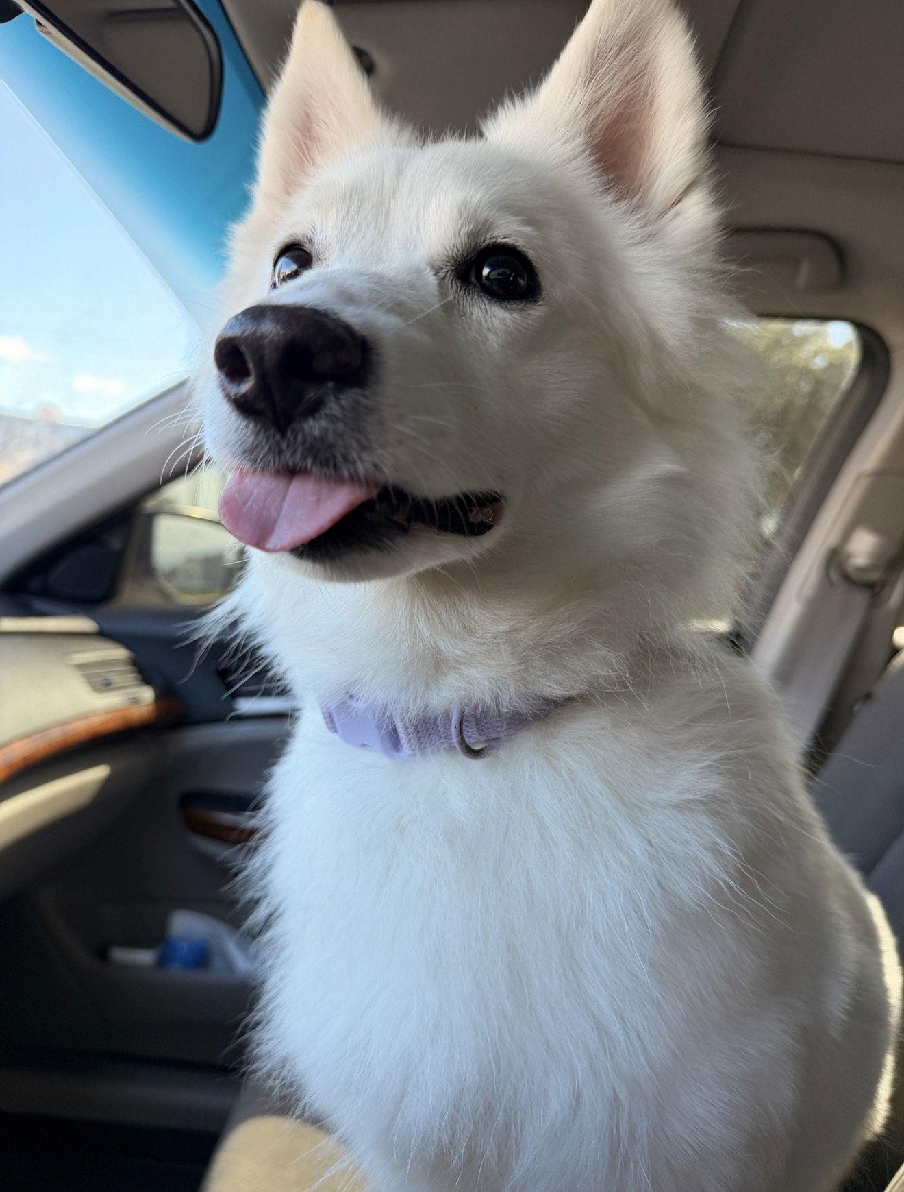 Princess Of Lake City thumbnail 4