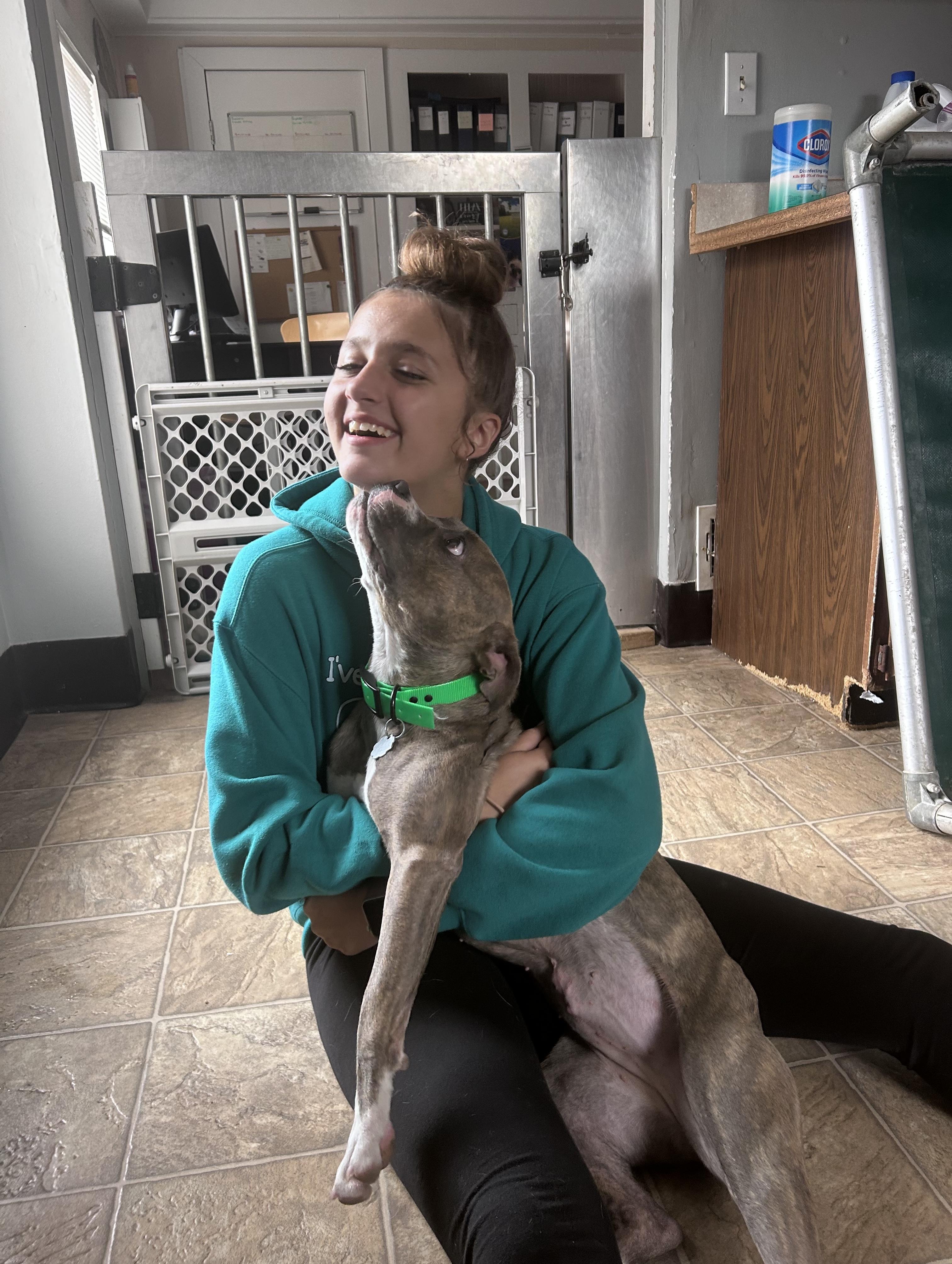 Lavender, a Adoptable mixed breed in Oxford, MI image 5/6