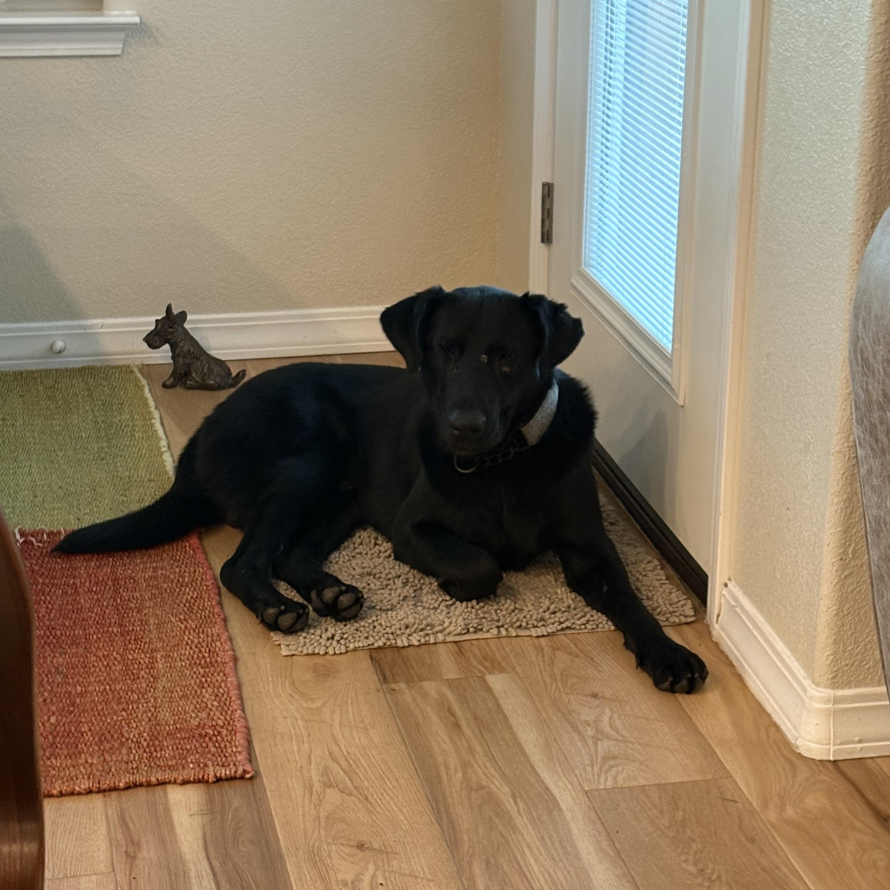 Ranger