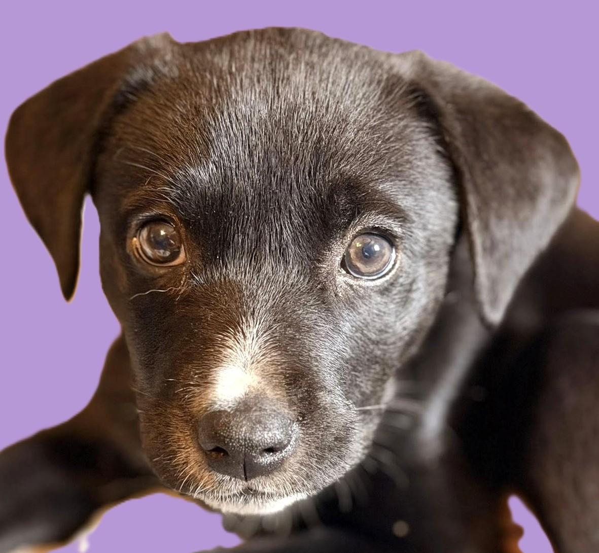 Cozumel — thumbnail 2