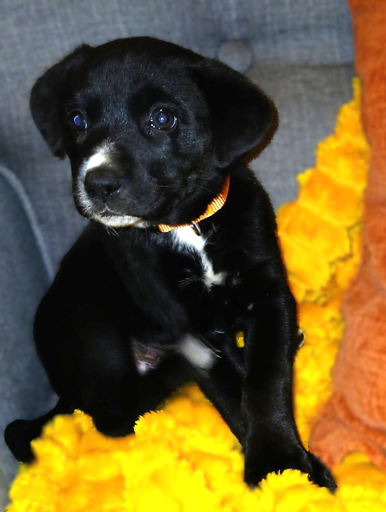 Cozumel — thumbnail 4