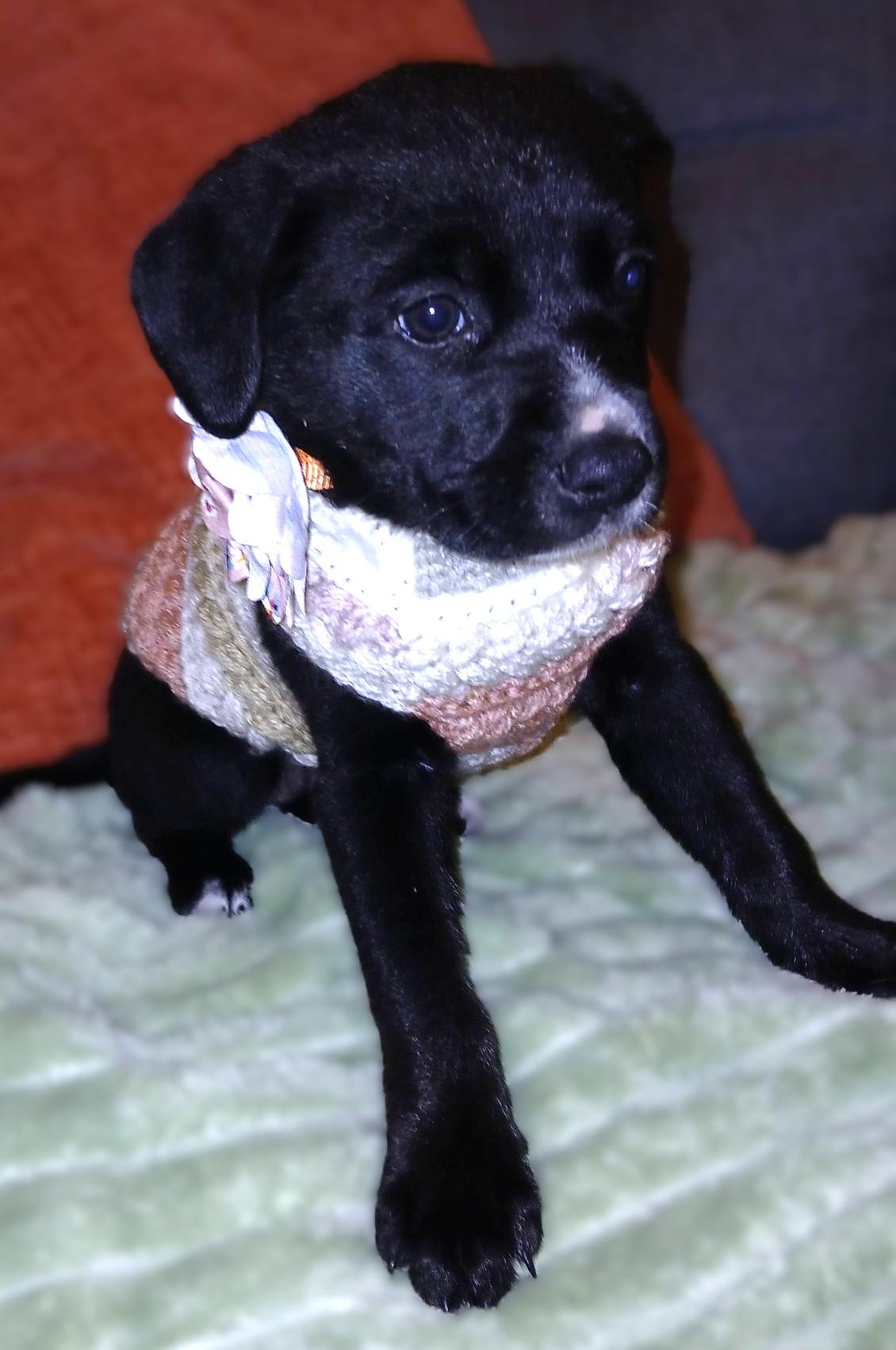 Cozumel — thumbnail 5