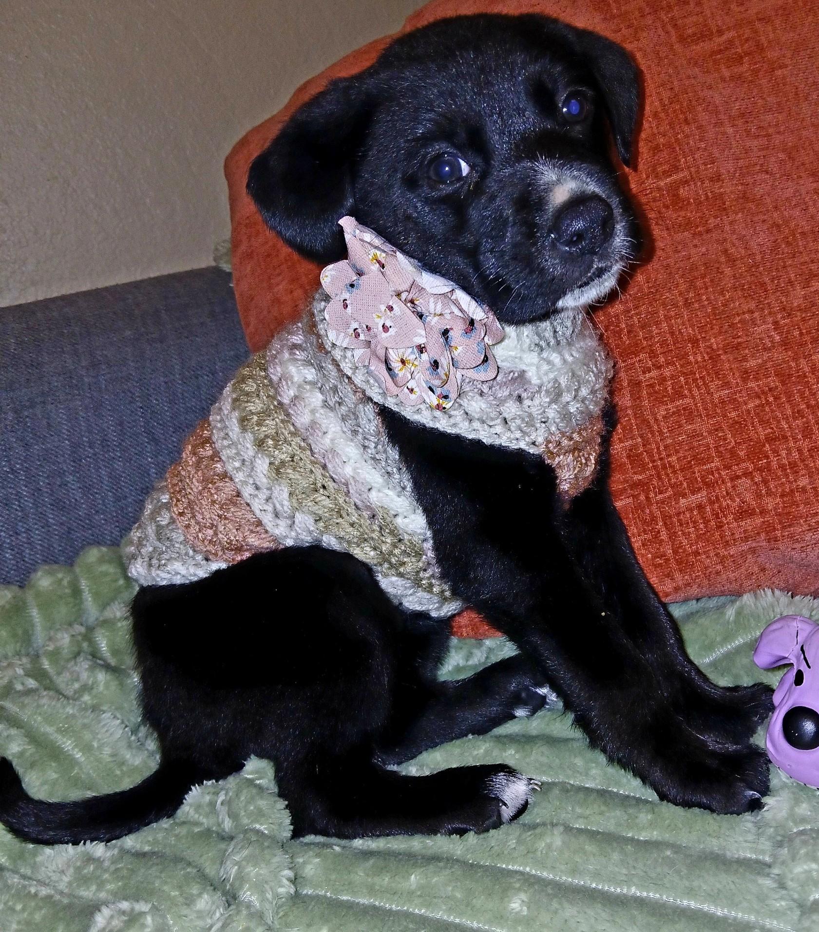 Cozumel — thumbnail 6