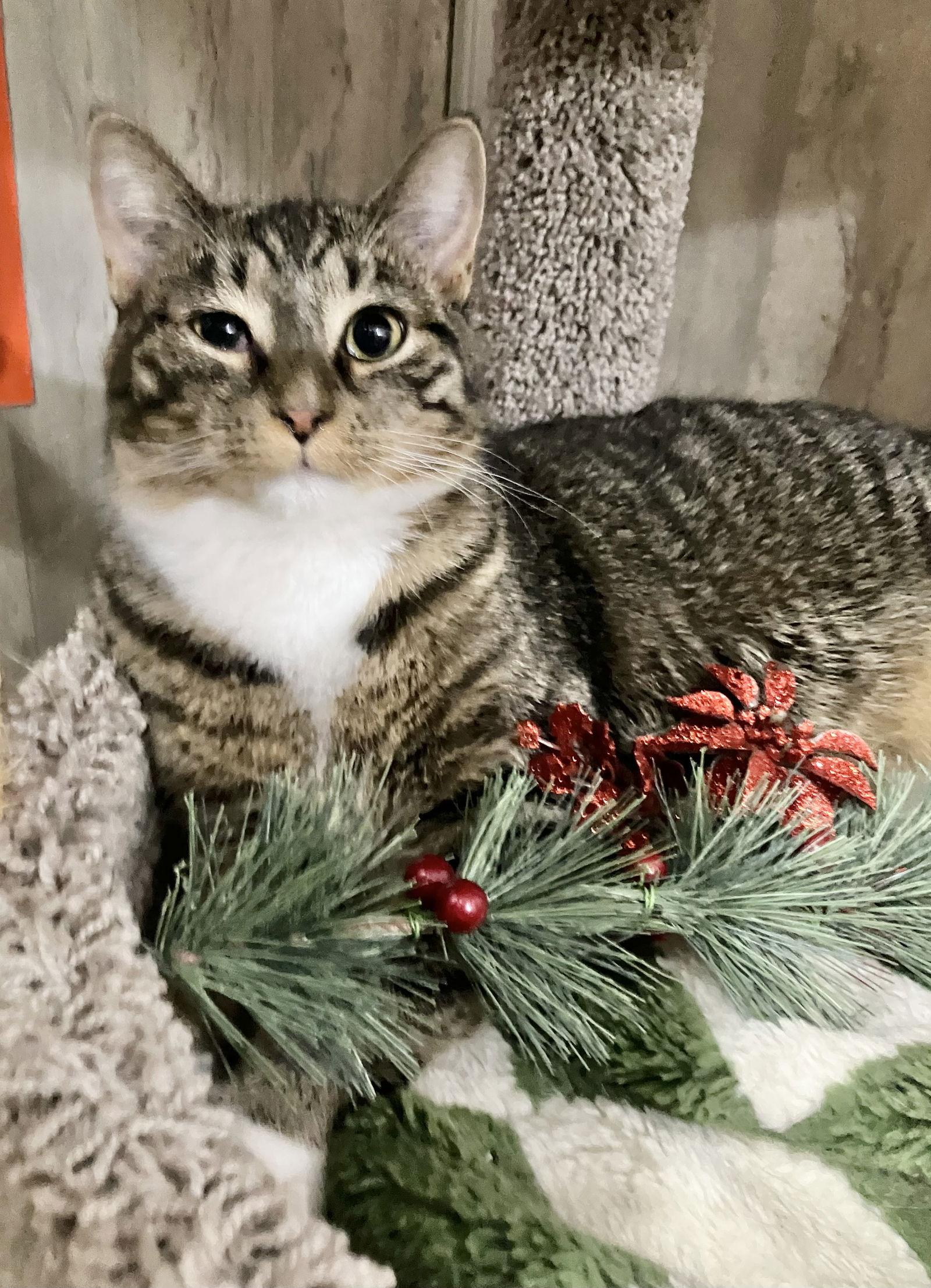 Gatekeep thumbnail 3