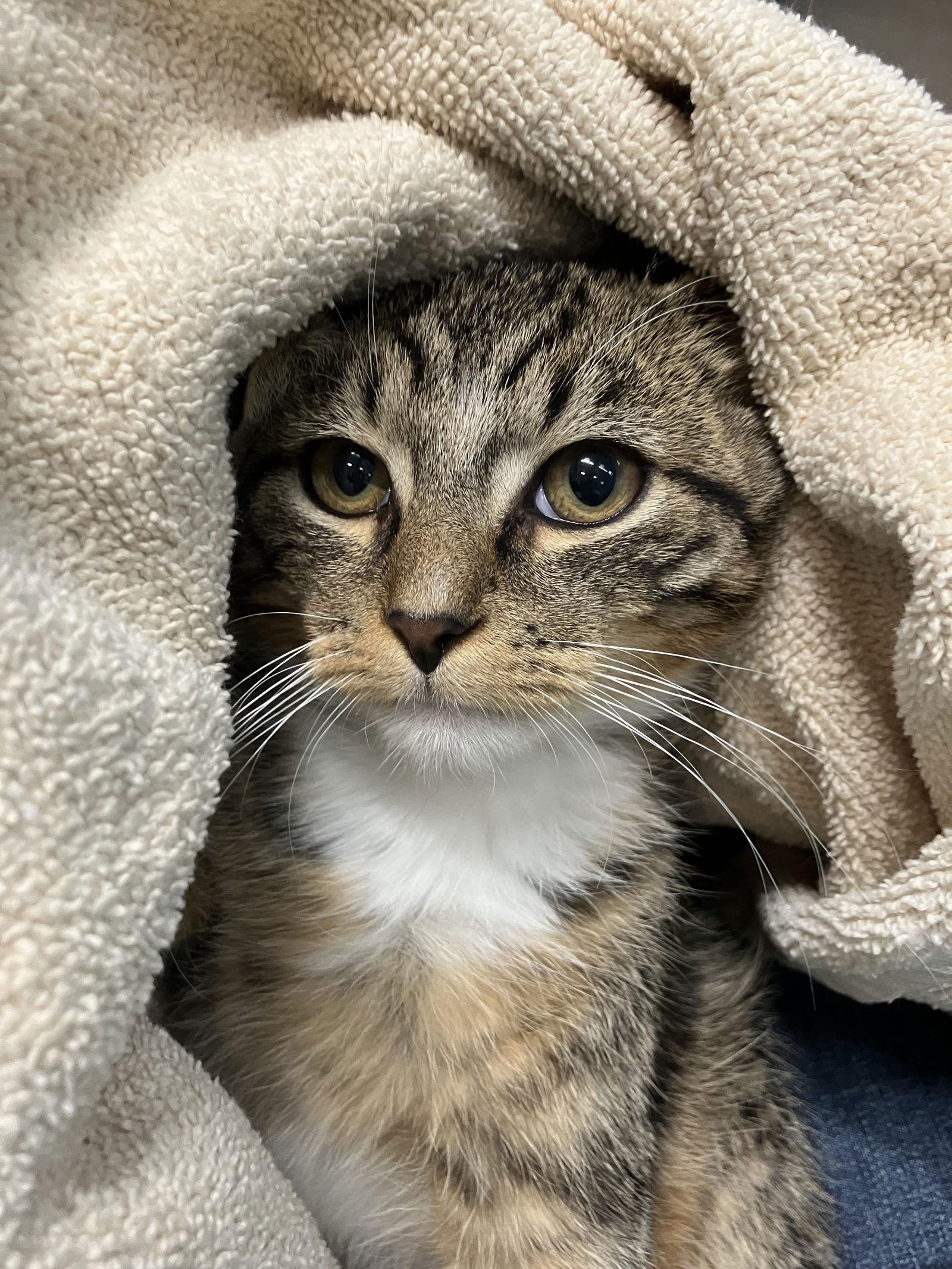 Gatekeep thumbnail 4