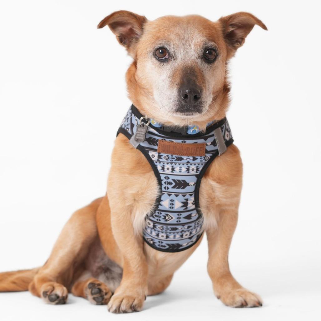 Wiggler 13849 — thumbnail 2