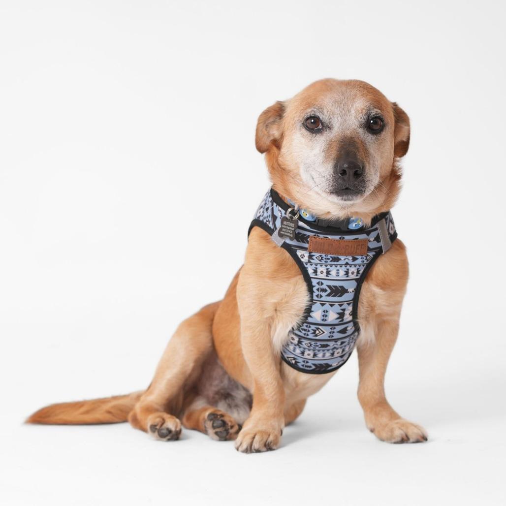 Wiggler 13849 — thumbnail 3