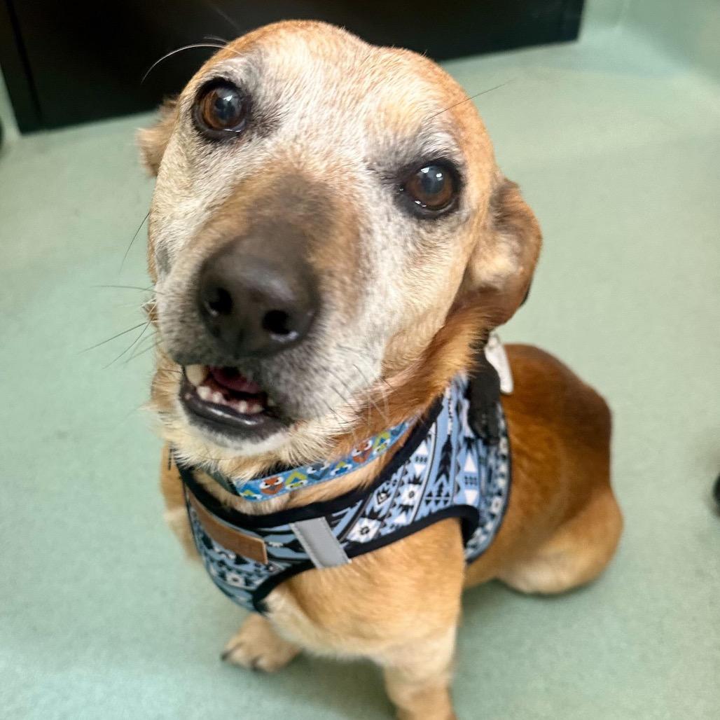 Wiggler 13849 — thumbnail 4