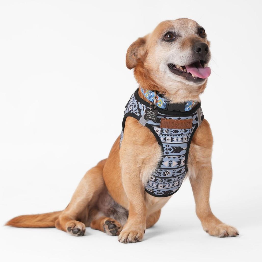 Wiggler 13849 — thumbnail 5