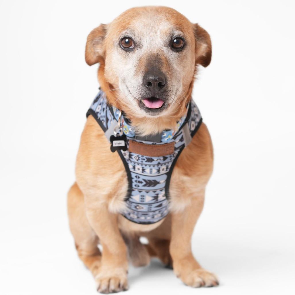 Wiggler 13849 — thumbnail 6