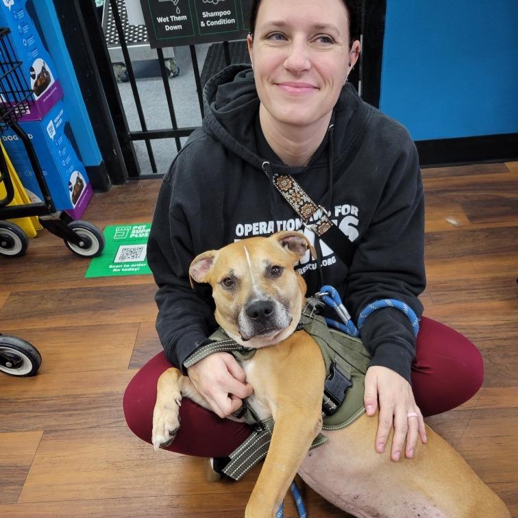 Enlarge Jaxi - Fee Sponsored + Free Training!, a Adoptable mixed breed in Ijamsville, MD image 5/6