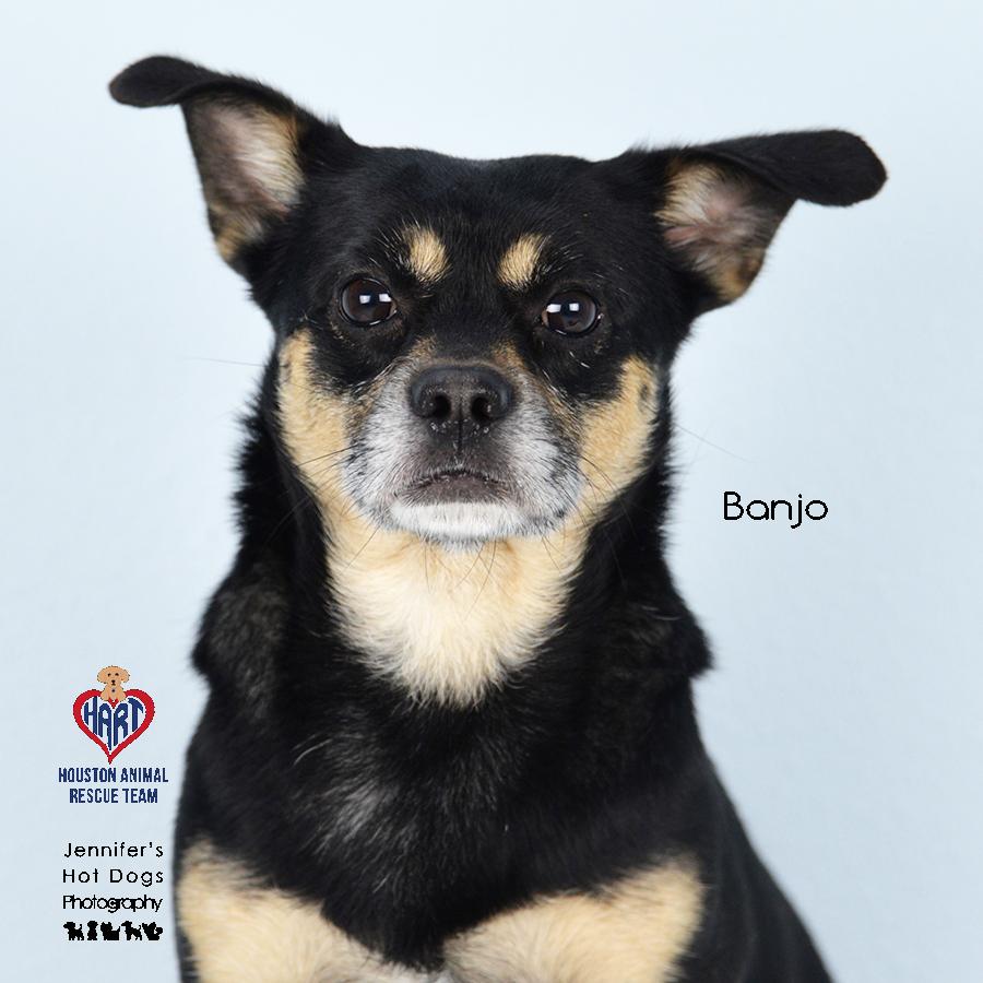 Banjo