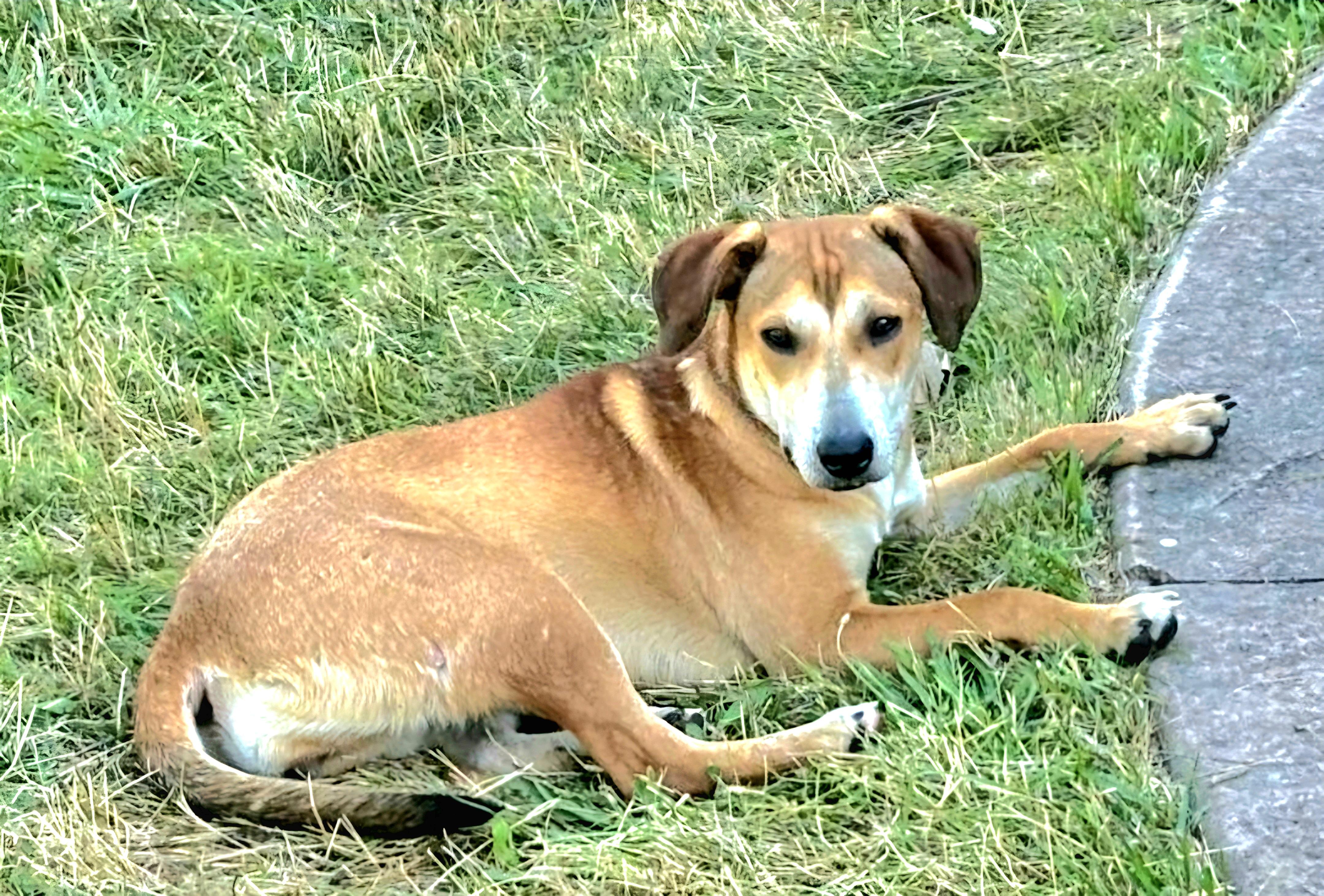 HONEY in New York to meet and greet!