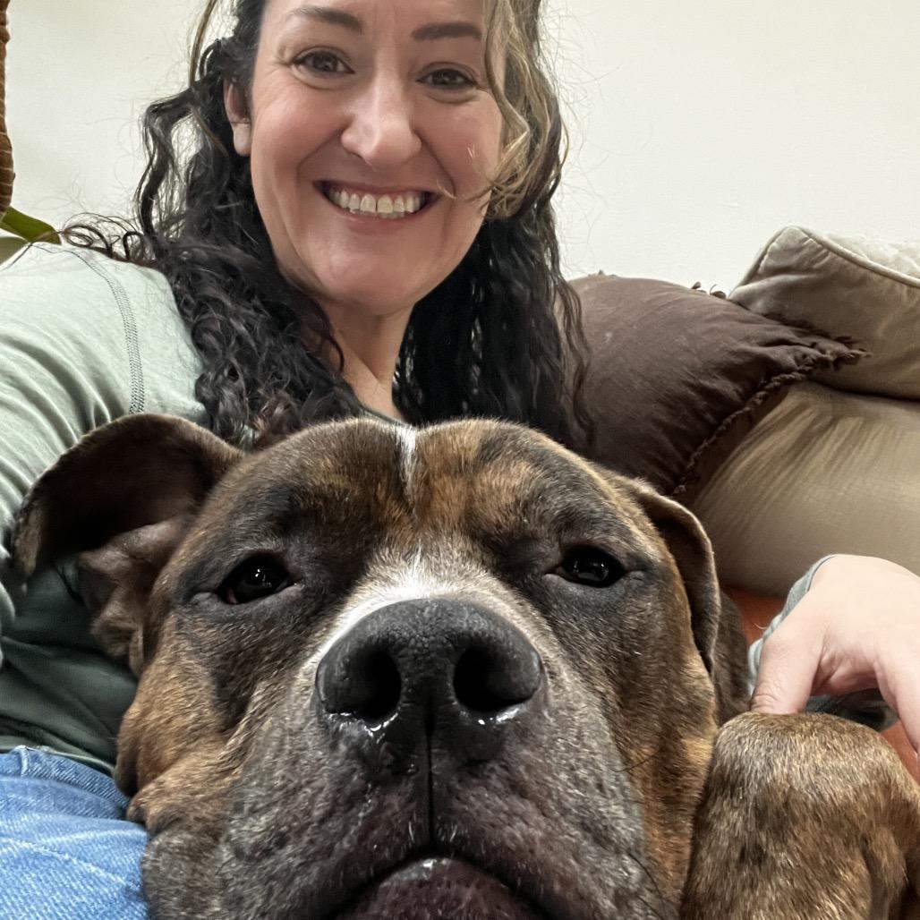 Enlarge Ralphie, a Adoptable Pit Bull Terrier in Chicago, IL image 4/5