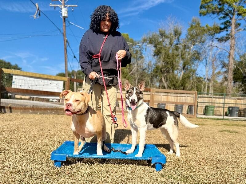 Hazel the Heart Melter