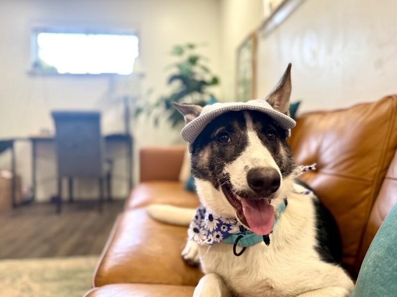 Hazel the Heart Melter — thumbnail 2