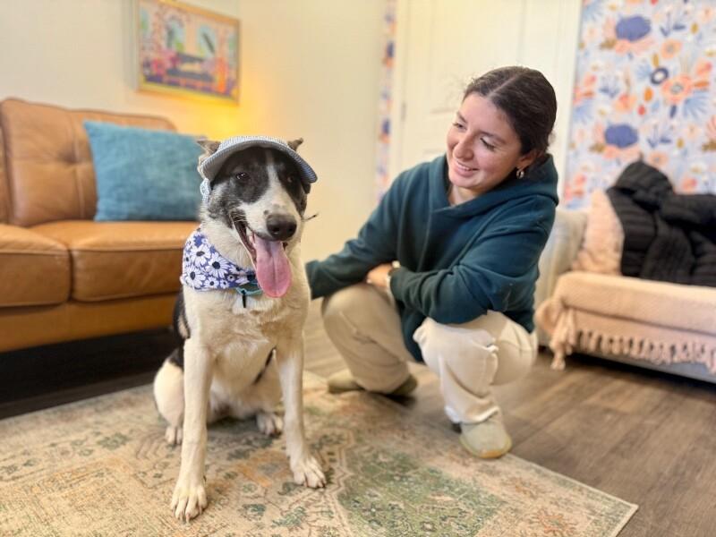 Hazel the Heart Melter — thumbnail 5