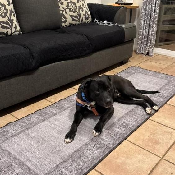 Harkness — thumbnail 4