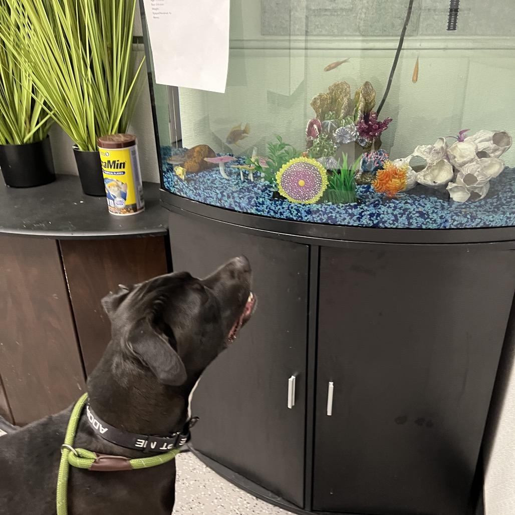 Harkness — thumbnail 5