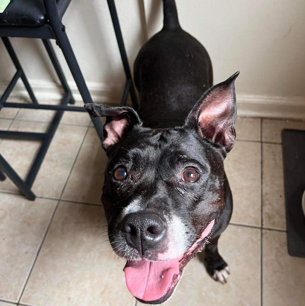 Carly Witwicky — thumbnail 5