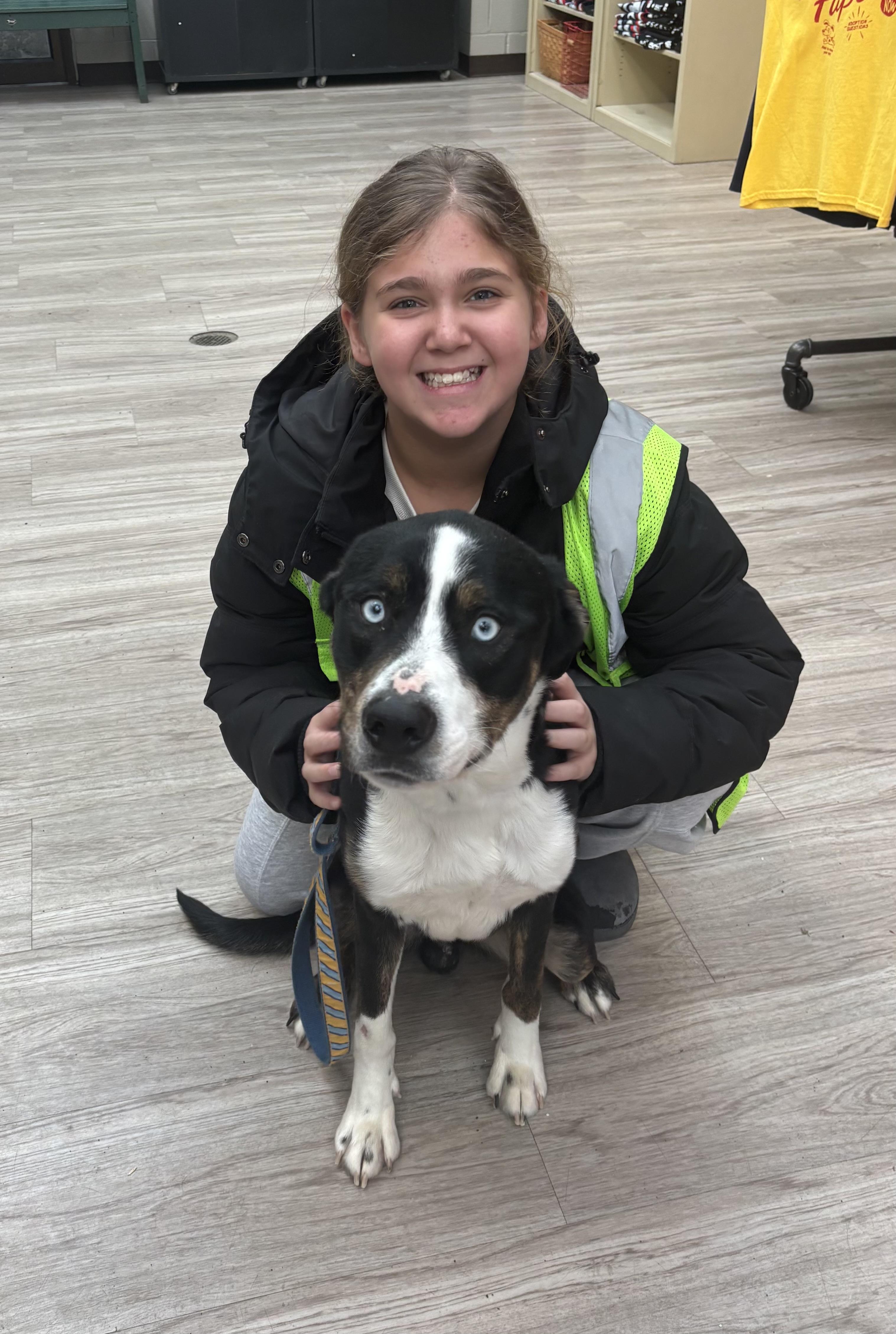 Enlarge Poe GCI Trained Graduate!!, an adoptable Mixed Breed in Elyria, OH image 4/5