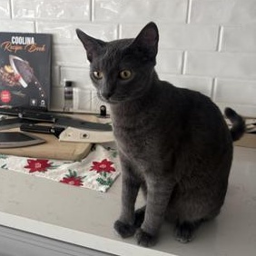 Runt Double — thumbnail 4