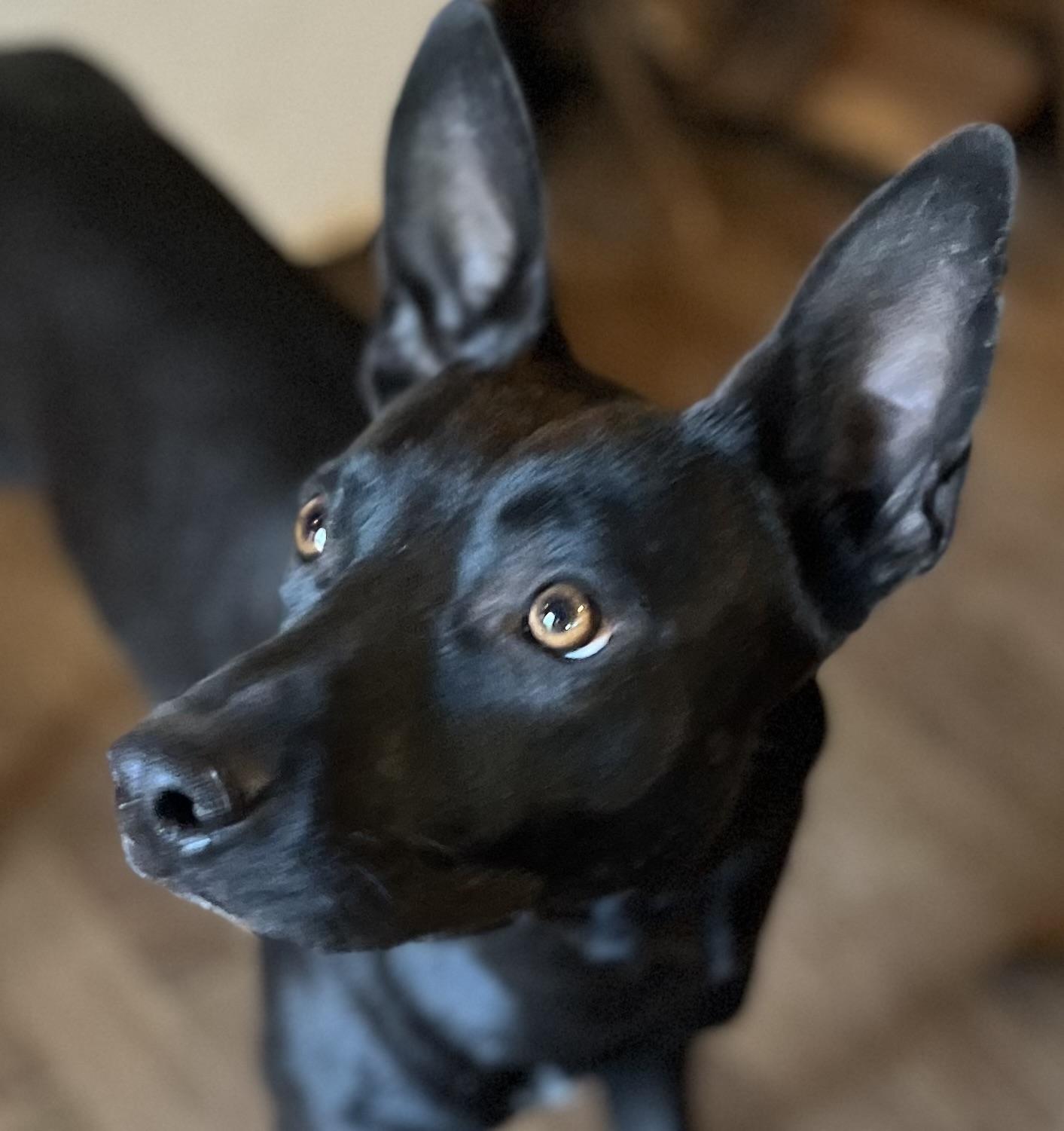 Max