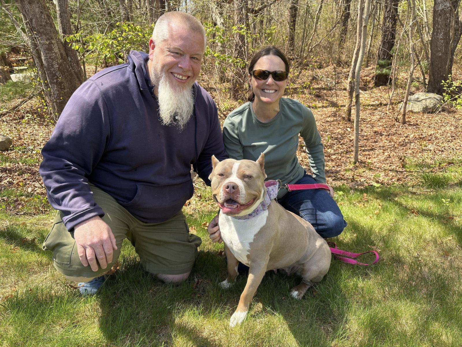 Enlarge Trudy, a Adopted Pit Bull Terrier in Framingham, MA image 2/3