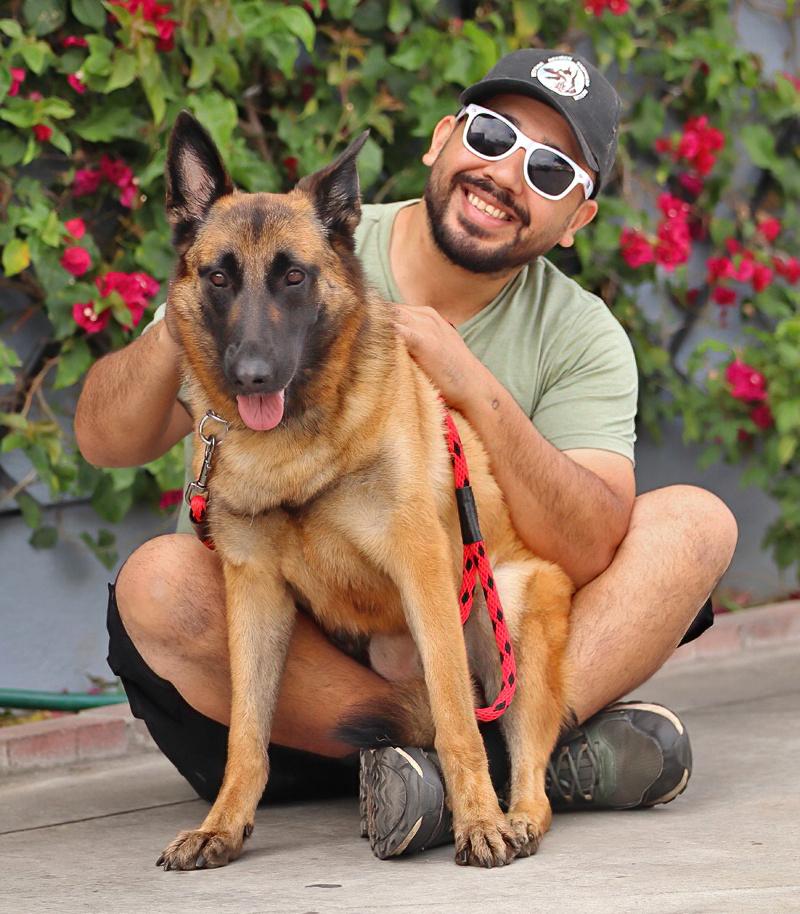 Enlarge Thea von Tengen, a Adoptable mixed breed in Los Angeles, CA image 2/6