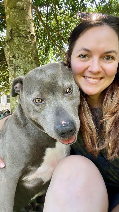 Diesel, a Adoptable mixed breed in Conover, NC image 2/8