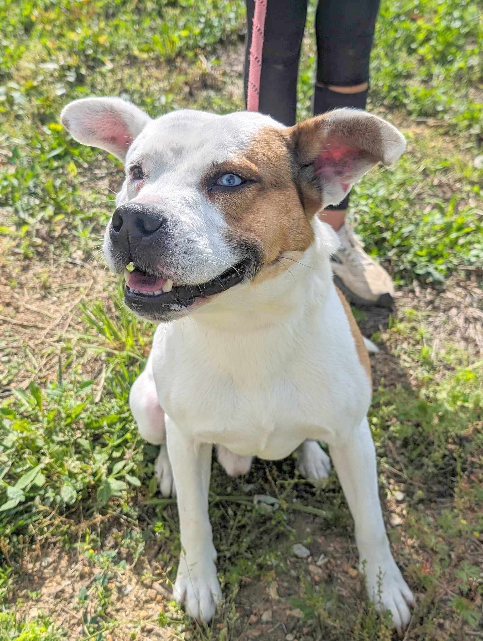 Oakley
