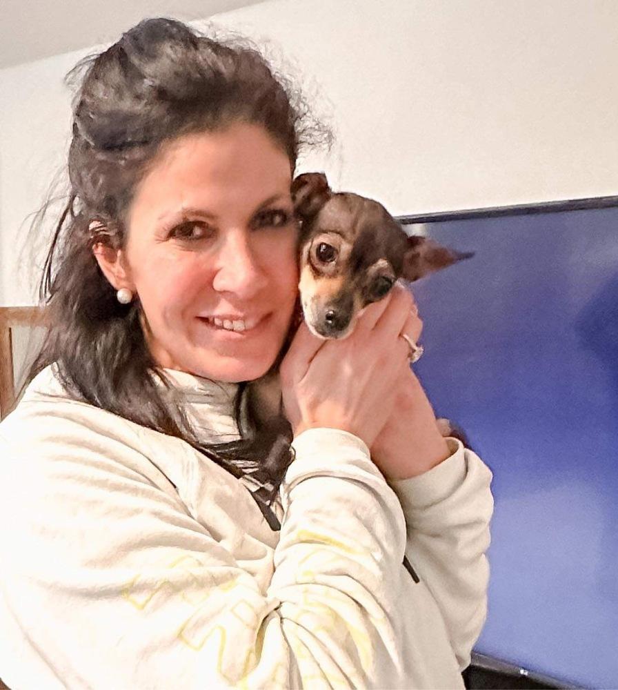 Enlarge Emma (Chi Family) bonded with Chata, must be adopted together, a Adoptable mixed breed in Brewster , NY image 5/5