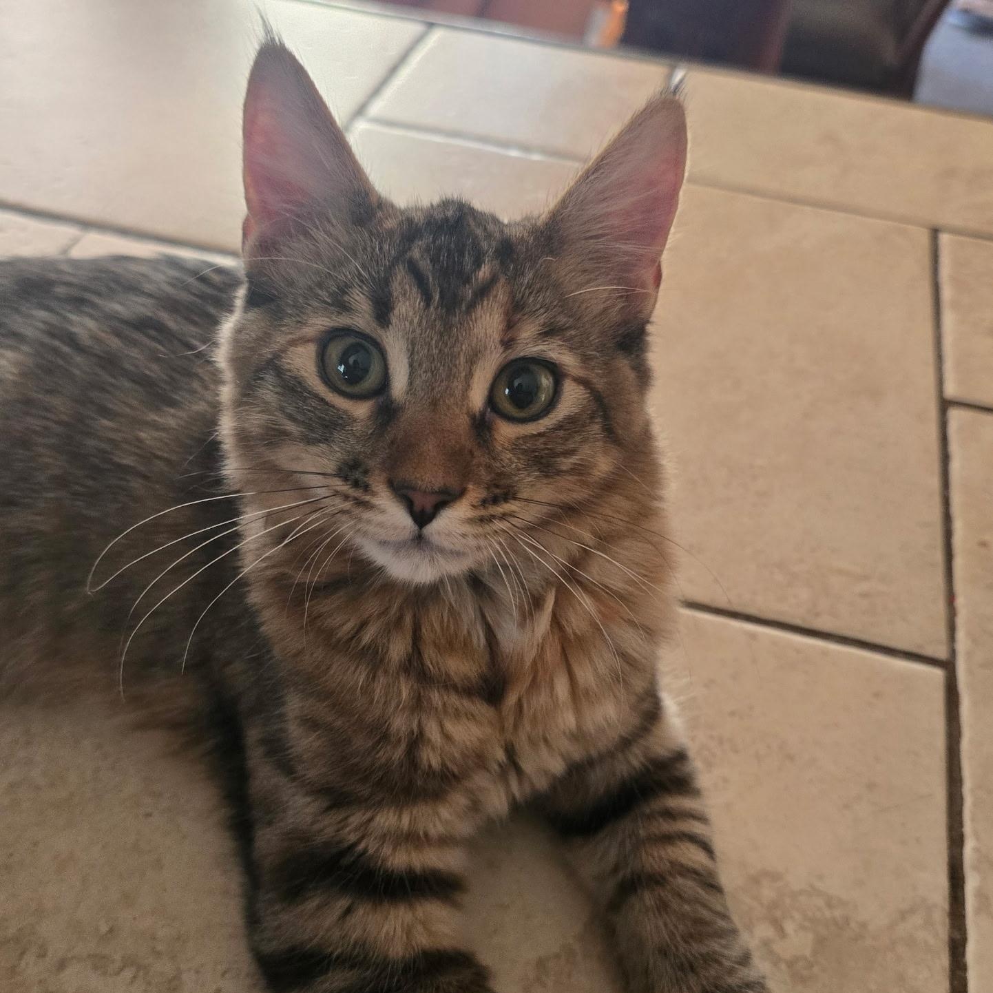 Gumball 0125 — thumbnail 2