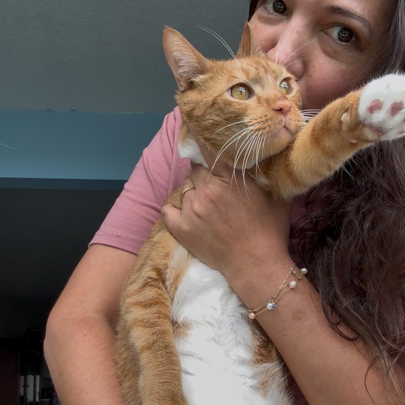 Pugsley — thumbnail 4