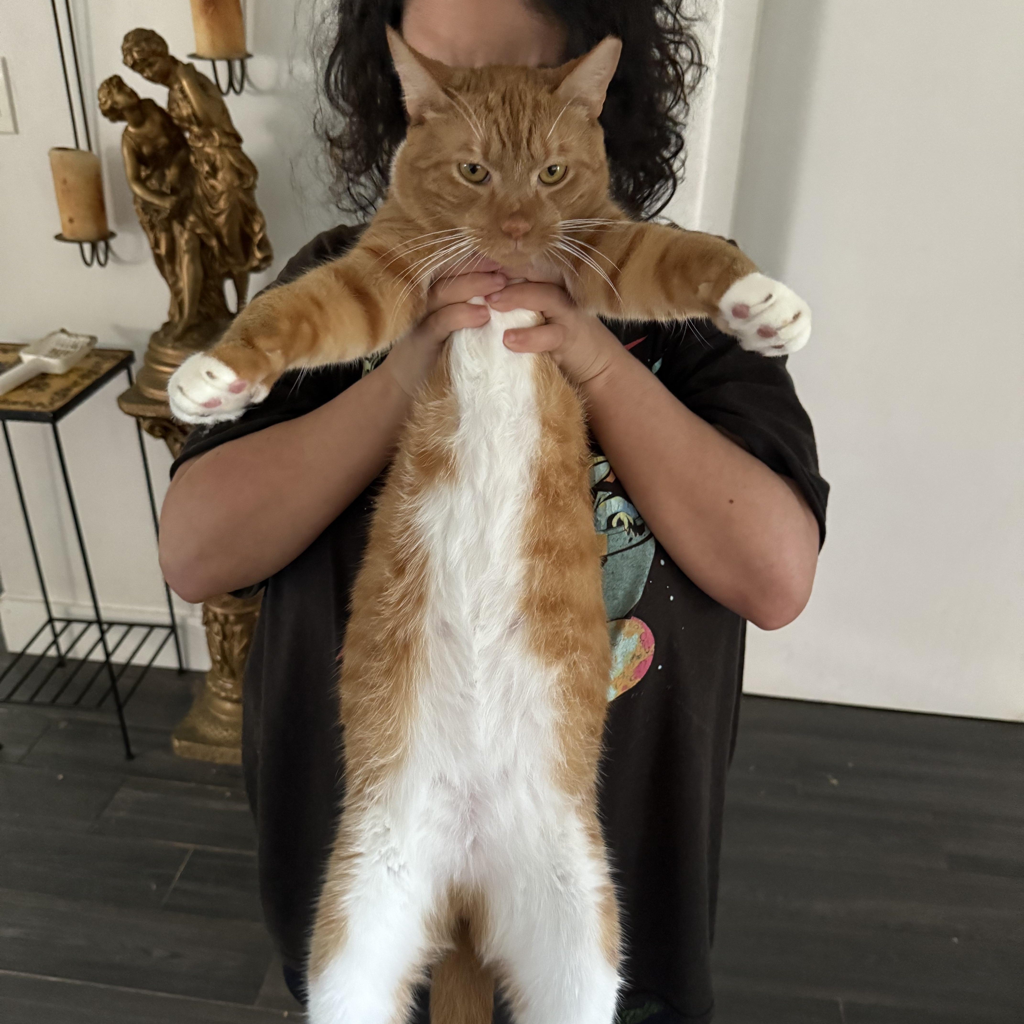 Pugsley — thumbnail 6