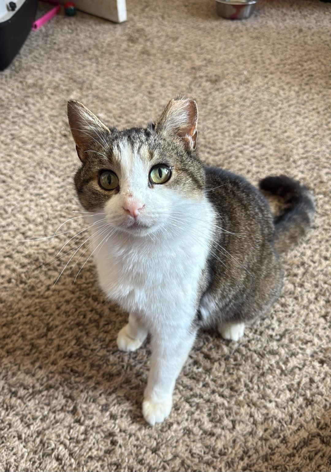 Dottie photo 3