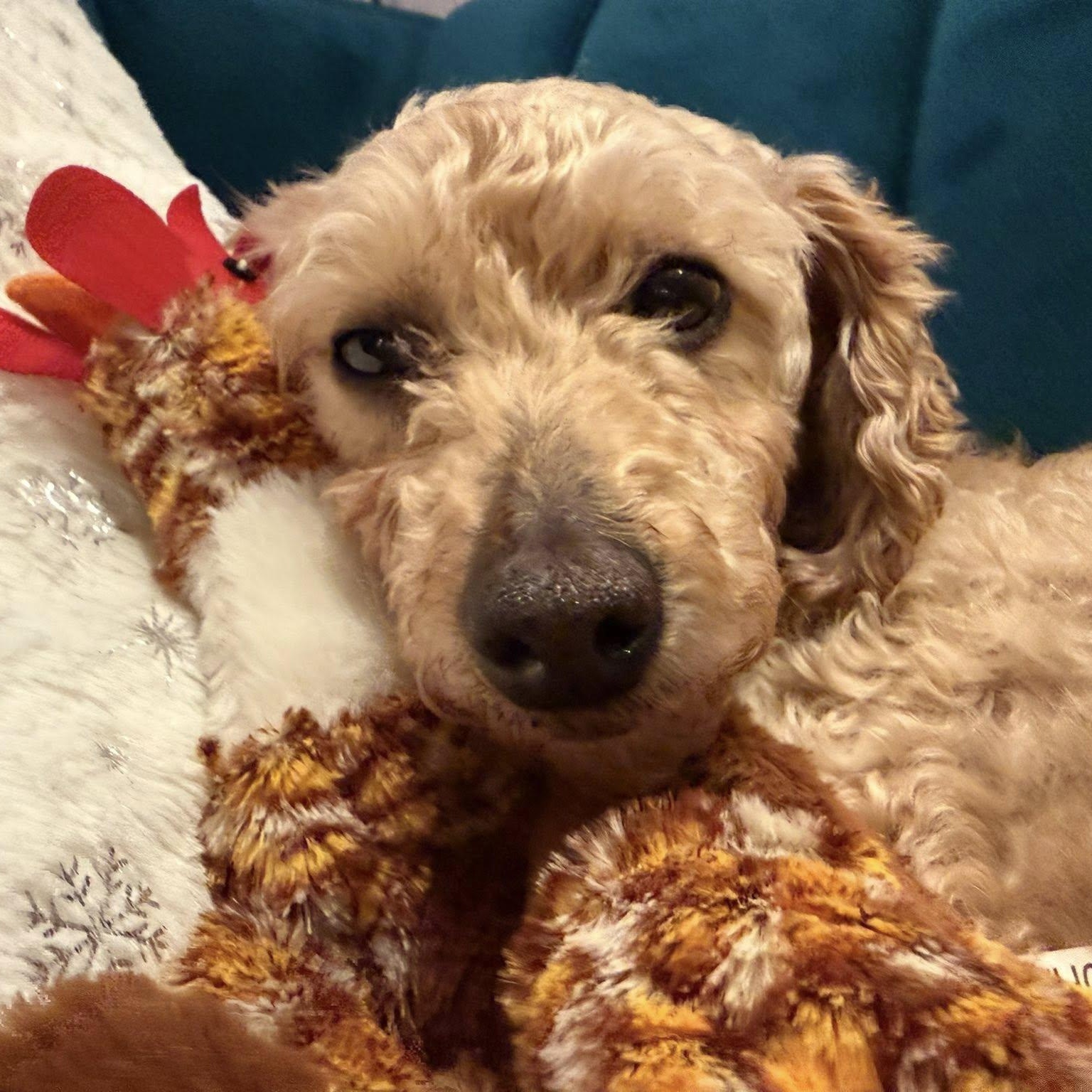 Elizabeth Taylor — thumbnail 6