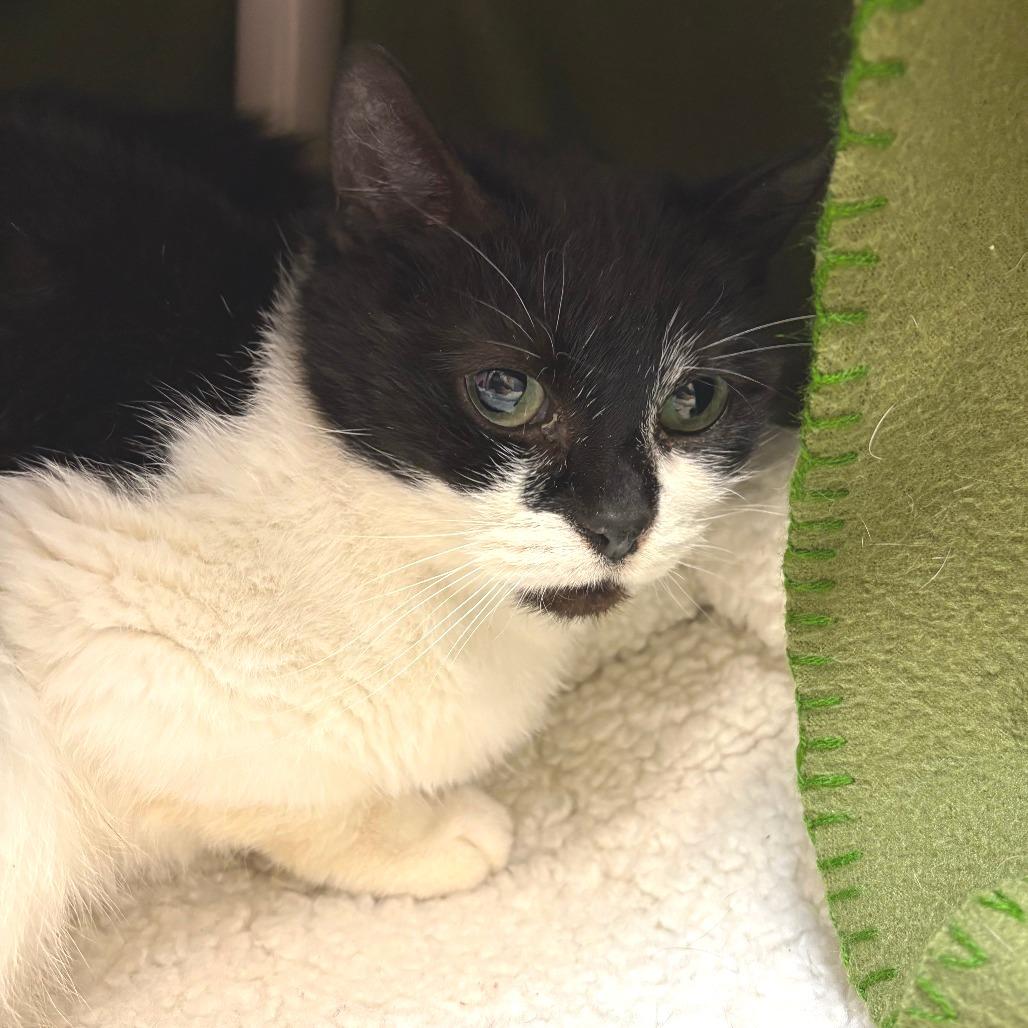 Marykate thumbnail 2