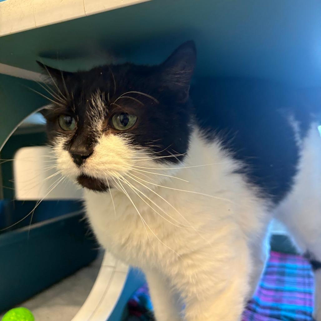 Marykate thumbnail 3