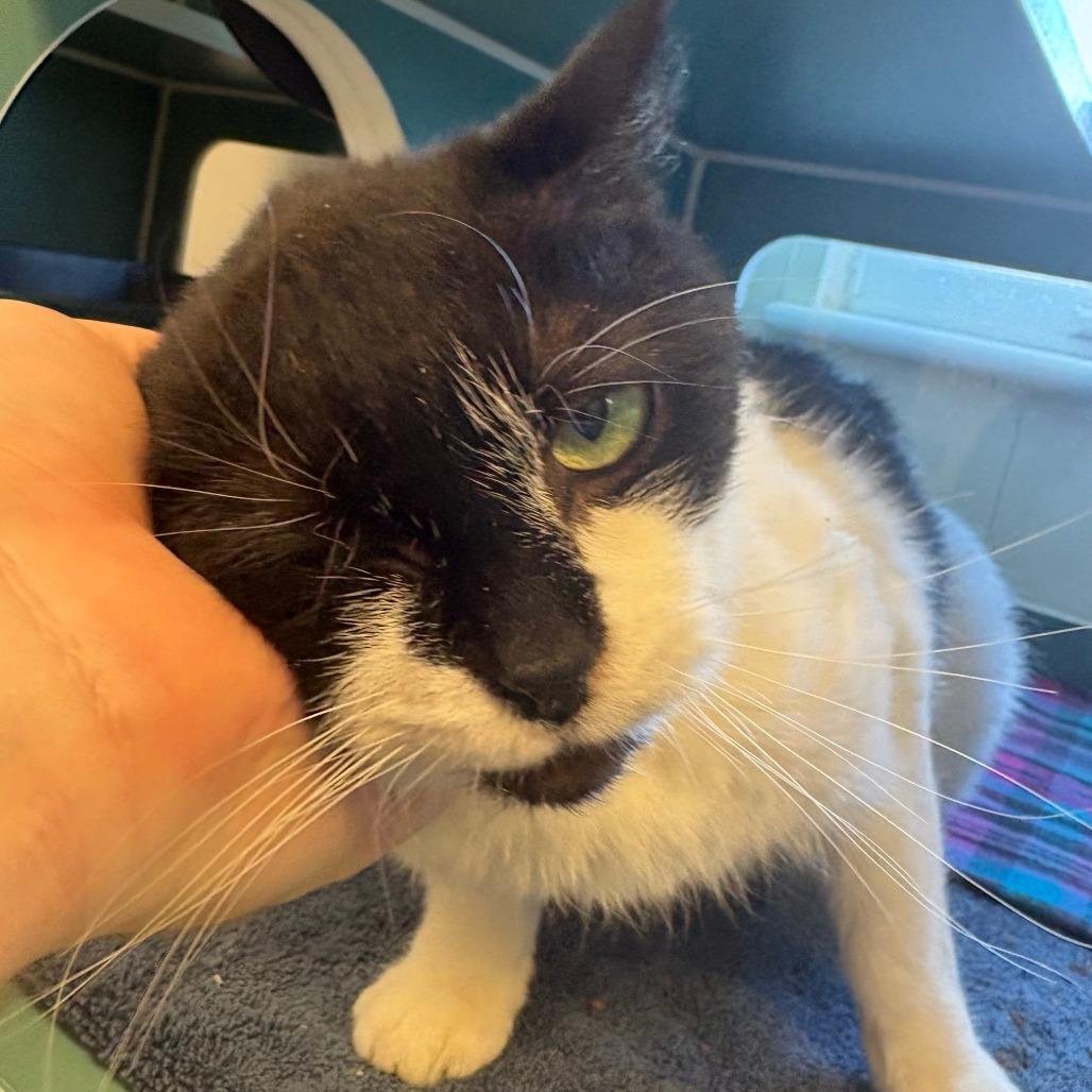 Marykate thumbnail 4