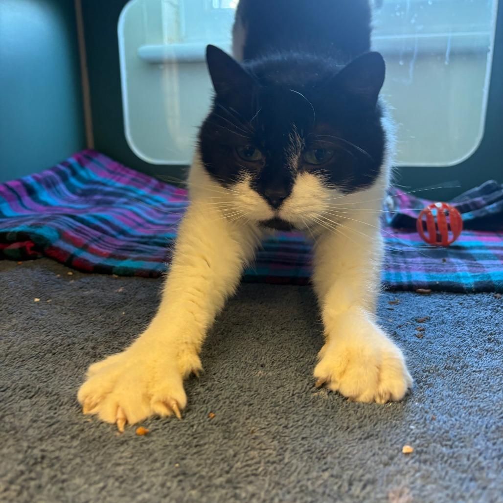 Marykate thumbnail 5